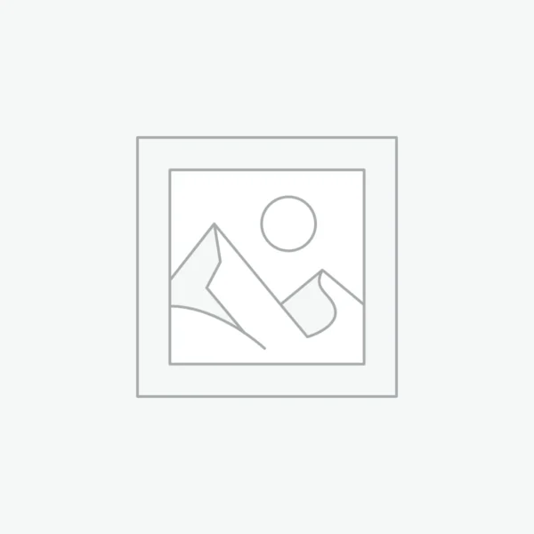 Kashmir 2' 1" x1' 1" Silk Rugs Awaiting product image